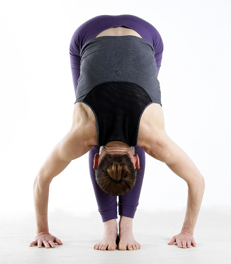 Save the Dates - Workshops und Retreats mit Daphne 2026